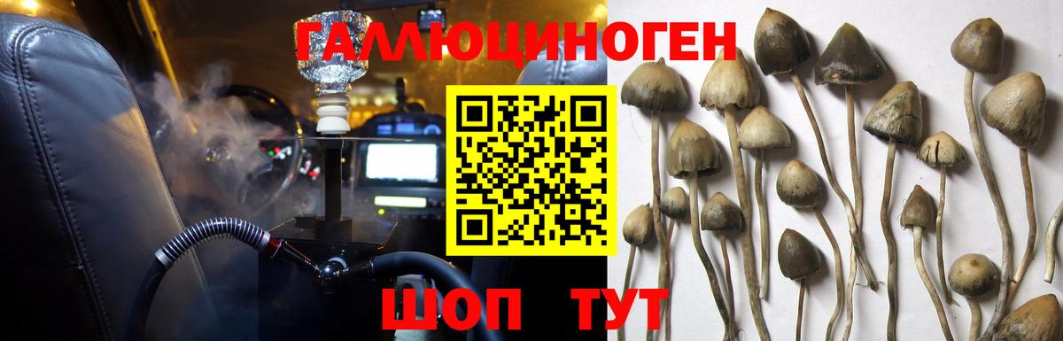 Галлюциногенные грибы Magic Shrooms  Вход с VPN  наркошоп  Ессентуки 
